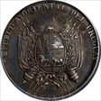 1880 Medal Paysandu Dept. Fair Expo Silvered Ae SP58