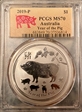 2019-P $1 Year of the Pig Ag MS70