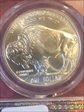 2001-D $1 Buffalo MS70