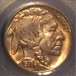 1938-D 5C Buffalo MS65