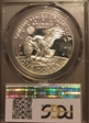 1973-S $1 Silver PR69DCAM
