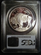 2001-P $1 Buffalo PR69DCAM