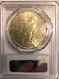 1925 $1 MS63