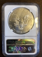 1989 $1 Silver Eagle MS69