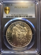 1881-S $1 MS65