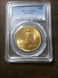 1908 $20 No Motto MS63