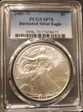 2006-W $1 Burnished Silver Eagle SP70