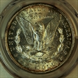 1889 $1 MS64