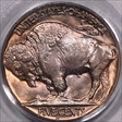 1938-D 5C Buffalo MS66