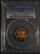 2010-S 1C Shield PR69DCAM