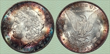 1891-S $1 MS64