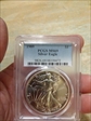 1989 $1 Silver Eagle MS69