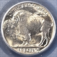 1938-D 5C Buffalo MS66