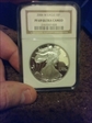 2006-W $1 Burnished Silver Eagle 
