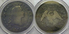 1795 $1 Flowing Hair, 2 Leaves G6