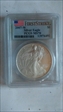 2007-W $1 Burnished Silver Eagle First Strike SP70