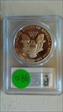 2004-W $1 Silver Eagle PR70DCAM