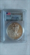 2013-W $1 Burnished Silver Eagle First Strike SP70