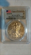 2018-W $1 Burnished Silver Eagle First Strike SP70