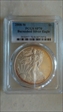 2008-W $1 Burnished Silver Eagle SP70