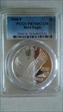2008-P $1 Bald Eagle PR70DCAM