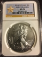 2014 W One Dollar Burnished American Silver Eagle MS70