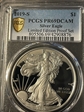 2019-S $1 Silver Eagle Limited Edition Proof Set PR69DCAM