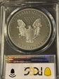 2019-S $1 Silver Eagle Limited Edition Proof Set PR69DCAM