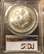 2005 $1 Silver Eagle MS70