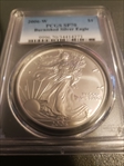 2006-W $1 Burnished Silver Eagle SP70