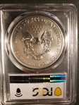 2013-W $1 Burnished Silver Eagle SP70