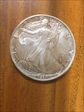 1991 $1 Silver Eagle MS65