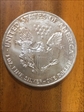 1991 $1 Silver Eagle MS65