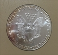 1986 $1 Silver Eagle MS65
