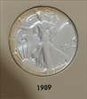 1989 $1 Silver Eagle MS65