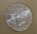 1989 $1 Silver Eagle MS65