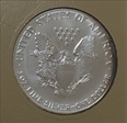 1991 $1 Silver Eagle MS65