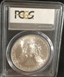 2000 $1 Silver Eagle MS69