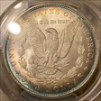 1883 $1 MS65