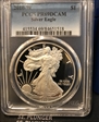 2010-W $1 Silver Eagle PR69DCAM