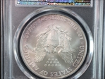 1996 $1 Silver Eagle MS67