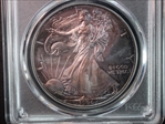 1996 $1 Silver Eagle MS67