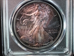 1996 $1 Silver Eagle MS67