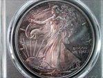 1996 $1 Silver Eagle MS67