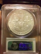 2000 $1 Silver Eagle MS69