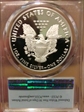 2020-W  $1 Silver Eagle First Strike PR69DCAM