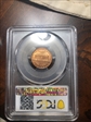 1982-D 1C Zinc, Small Date MS65RD