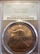 2005 $1 Silver Eagle MS68