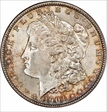 1904 $1 MS63