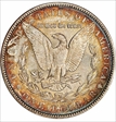 1904 $1 MS63